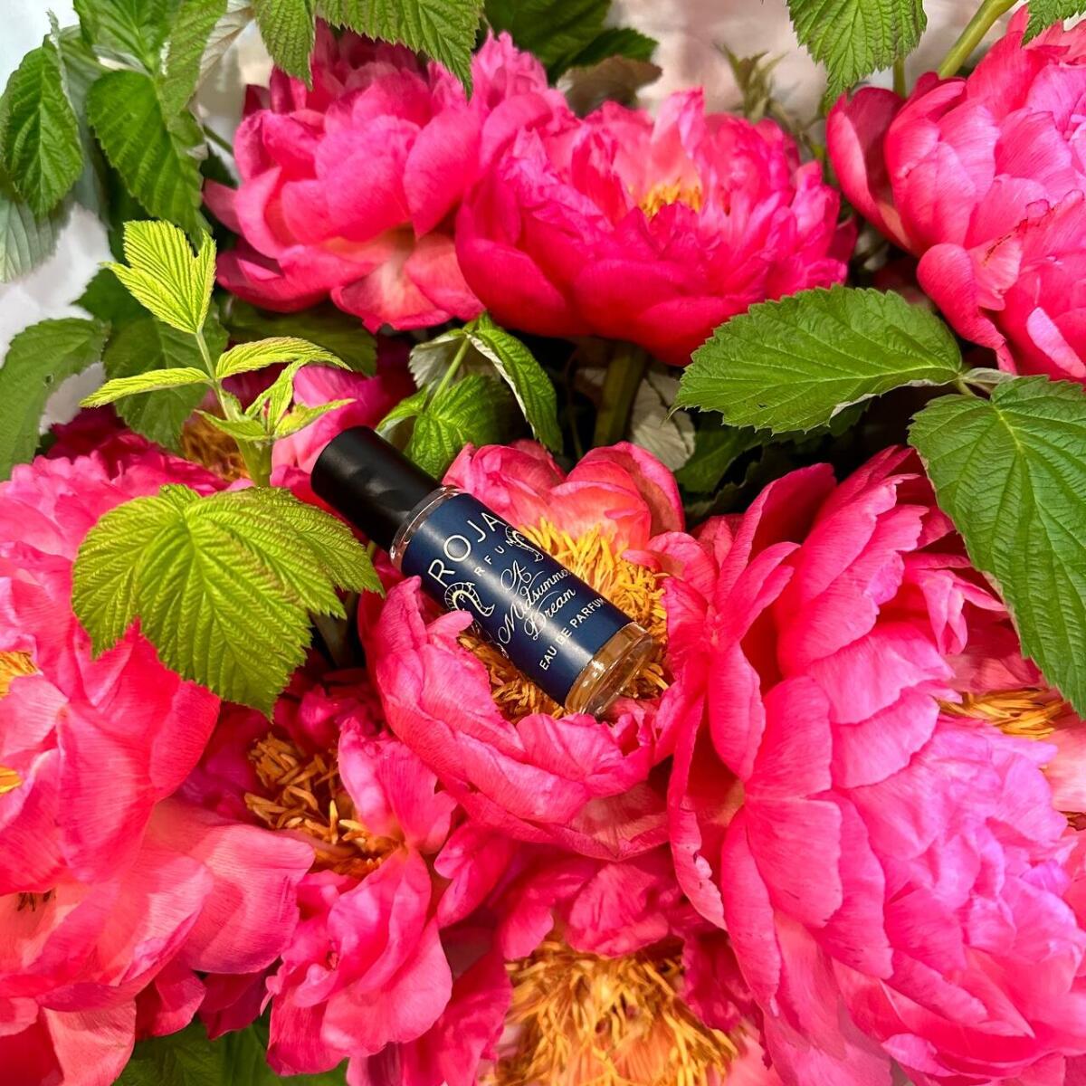 عطر ادکلن رؤیای شب نیمه تابستان روجا داو - A Midsummer Dream Roja Dove - بررسی، قیمت و خرید