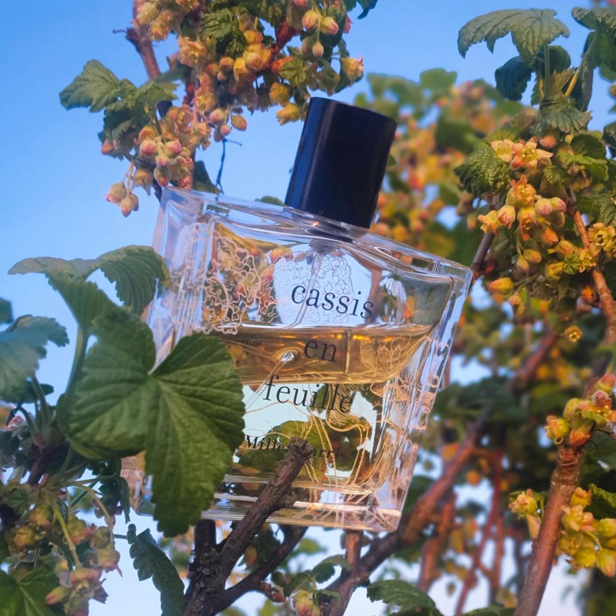 عطر ادکلن کاسیس آن فوی میلر هریس - Cassis en Feuille Miller Harris - بررسی، قیمت و خرید