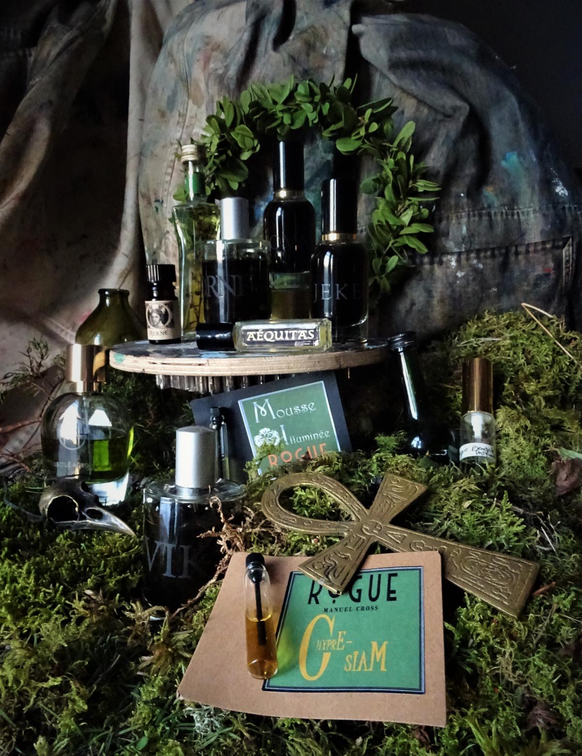 عطر ادکلن ویکت اسلمبرهاوس - Vikt Slumberhouse - بررسی، قیمت و خرید