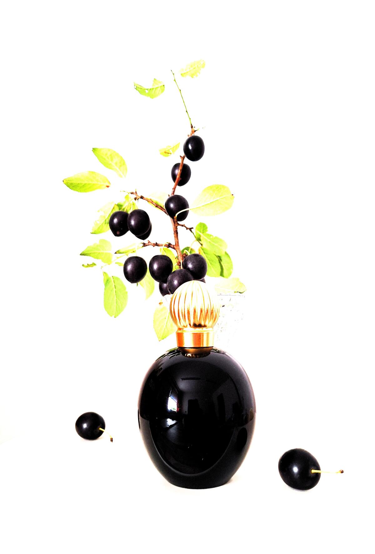 عطر ادکلن آرپژ لنوین - Arpège Lanvin - بررسی، قیمت و خرید