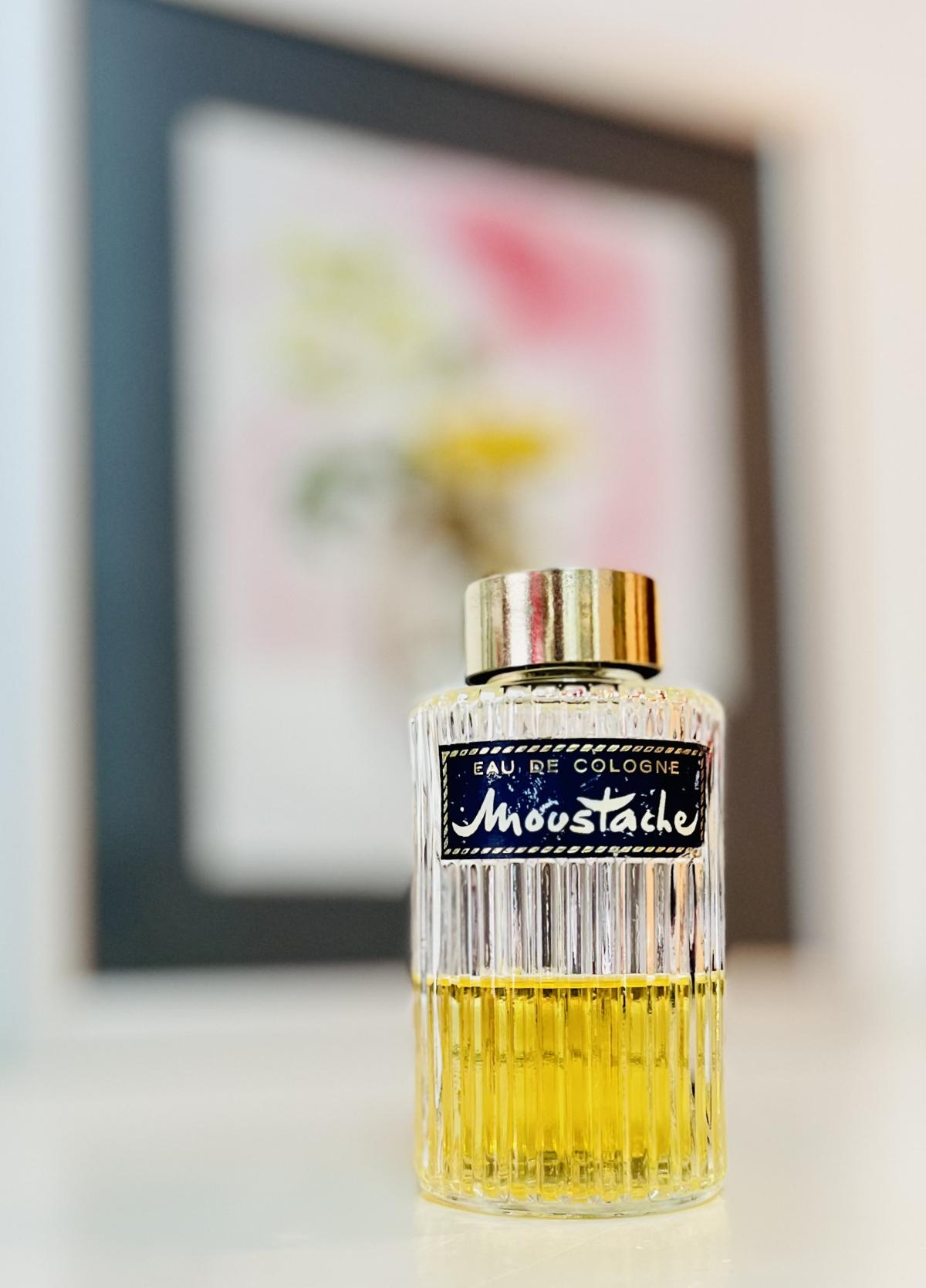 عطر ادکلن موستاش ادکلن روچاس - Moustache Eau de Cologne Rochas - بررسی، قیمت و خرید