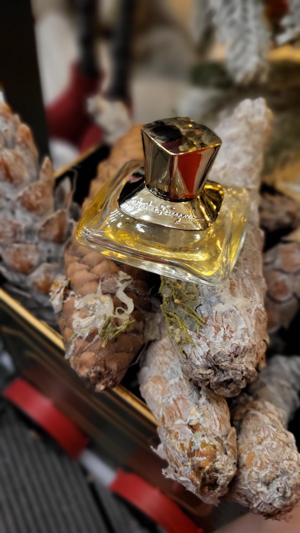 عطر ادکلن سینیورینا الاگانزا سالواتوره فراگامو - Signorina Eleganza Salvatore Ferragamo - بررسی، قیمت و خرید