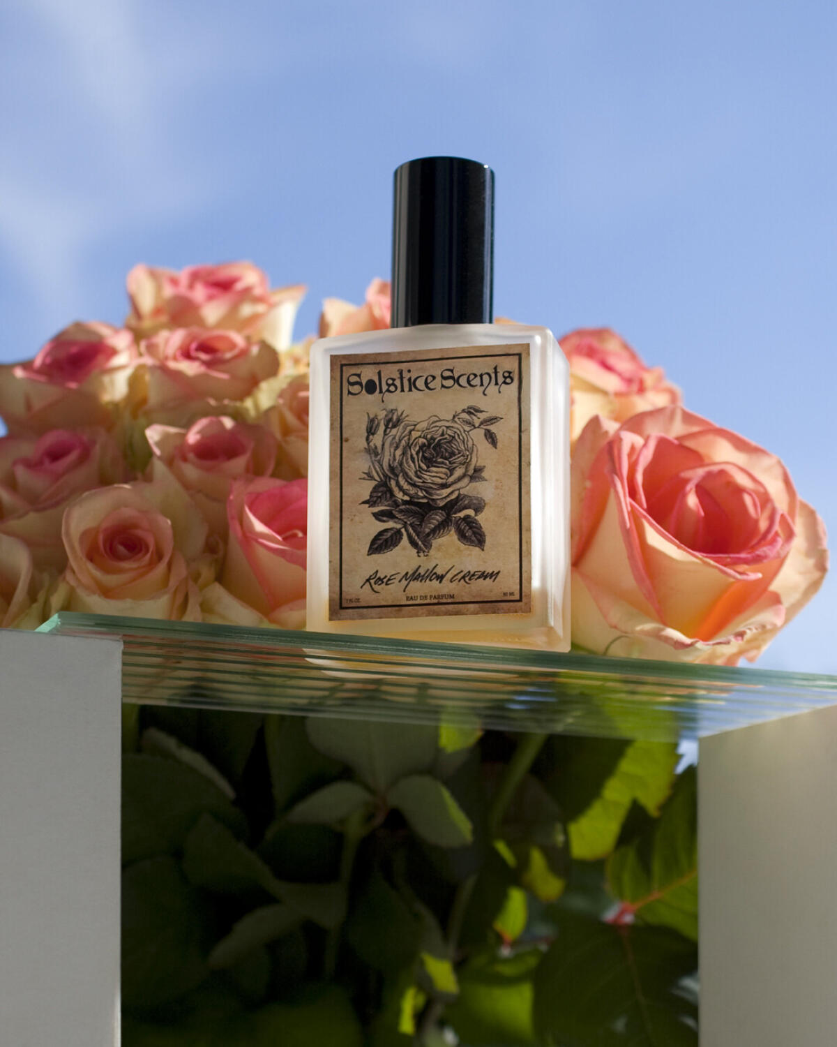 عطر ادکلن رز مالو کریم سولستیس سنتس - Rose Mallow Cream Solstice Scents - بررسی، قیمت و خرید