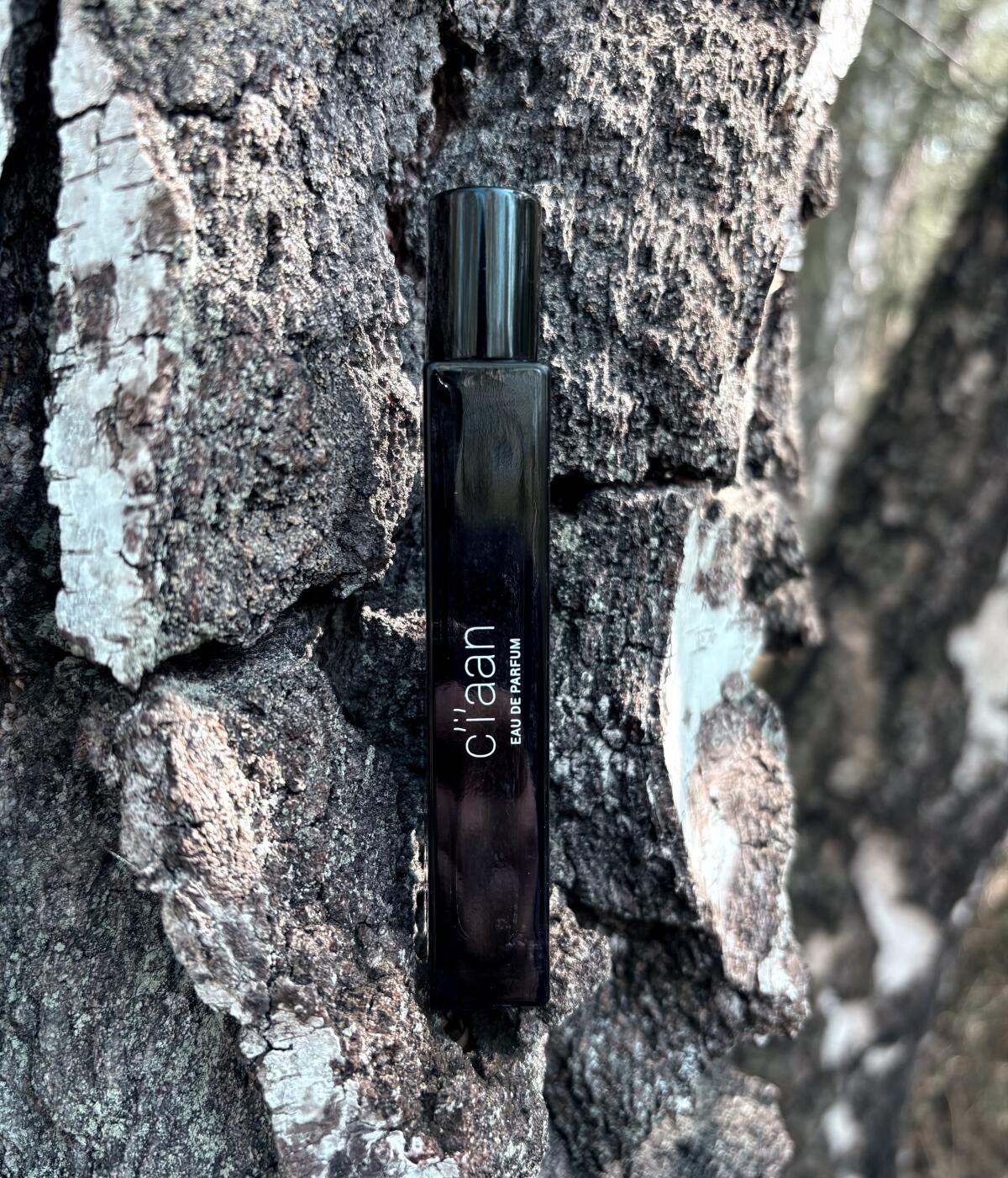 عطر ادکلن سیان سورس آدیج فرگرنسز - c’i’aan source adage fragrances - بررسی، قیمت و خرید