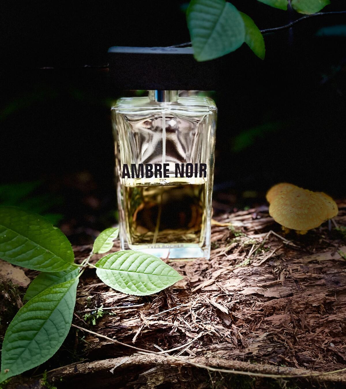 عطر ادکلن آمبر نوآر ایوروشه - Ambre Noir Yves Rocher - بررسی، قیمت و خرید