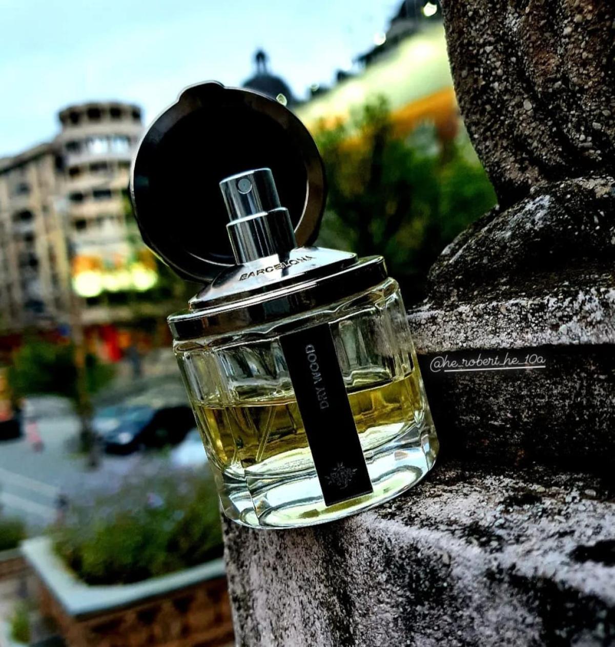 عطر ادکلن دِرای وود رامون مونگال - Dry Wood Ramon Monegal - بررسی، قیمت و خرید