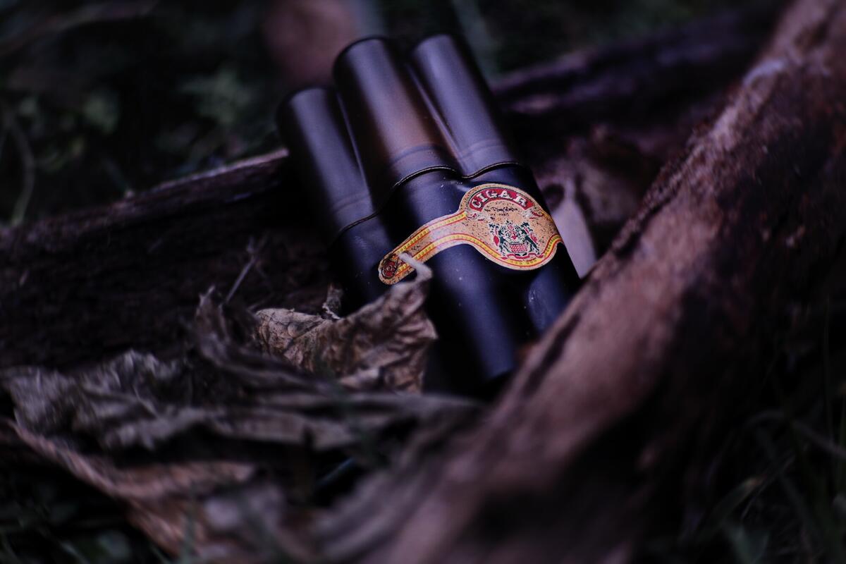 عطر ادکلن سیگار رمی لاتور - Cigar Rémy Latour - بررسی، قیمت و خرید