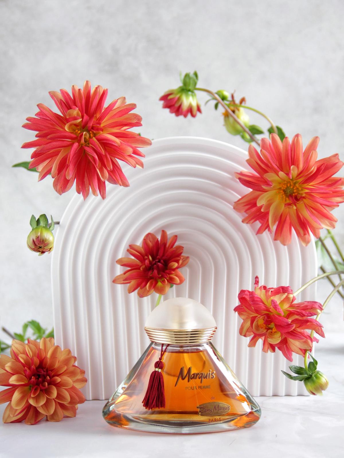عطر ادکلن مارکی رمی مارکوی - Marquis Remy Marquis - بررسی، قیمت و خرید