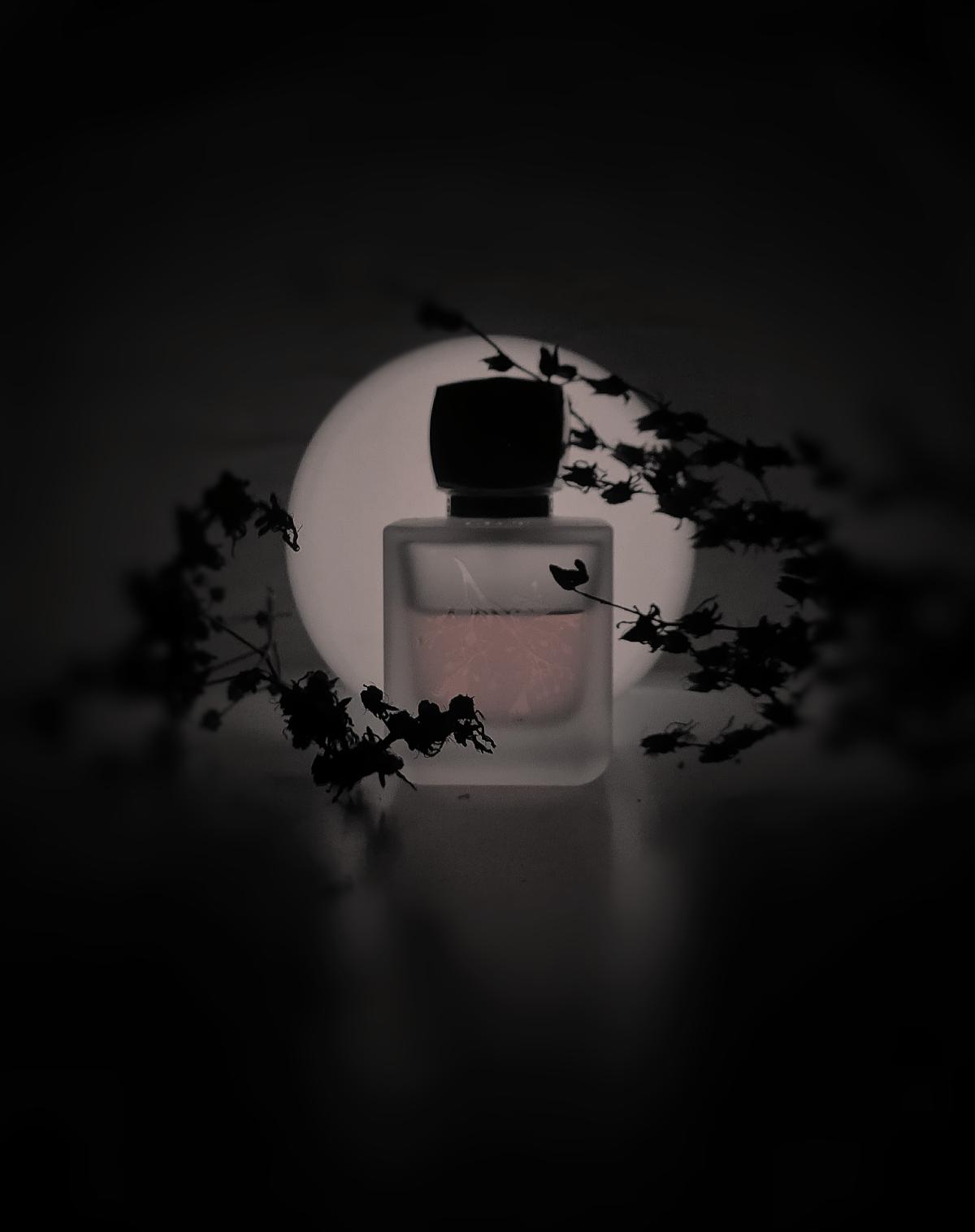 عطر ادکلن لیلْت روژ بانی روژ - Lilt Rouge Bunny Rouge - بررسی، قیمت و خرید