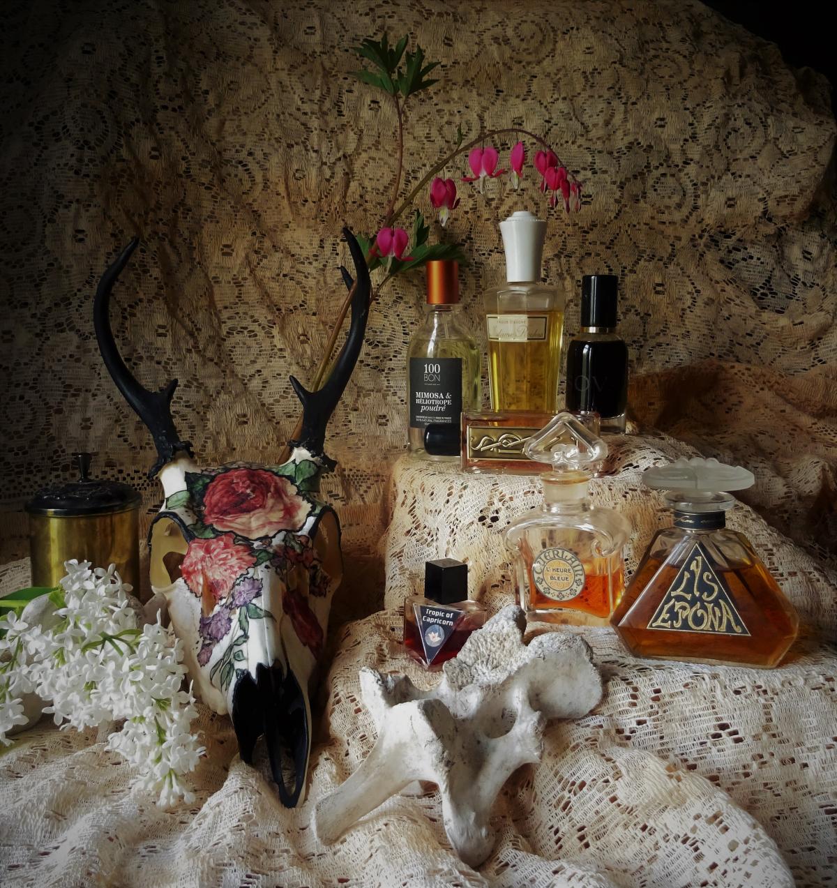 عطر ادکلن سووا اسلمبرهاوس - Sova Slumberhouse - بررسی، قیمت و خرید