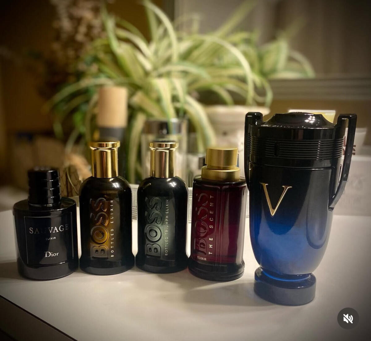 عطر ادکلن اینویکتوس ویکتوری الکسیر ربن - Invictus Victory Elixir Rabanne - بررسی، قیمت و خرید