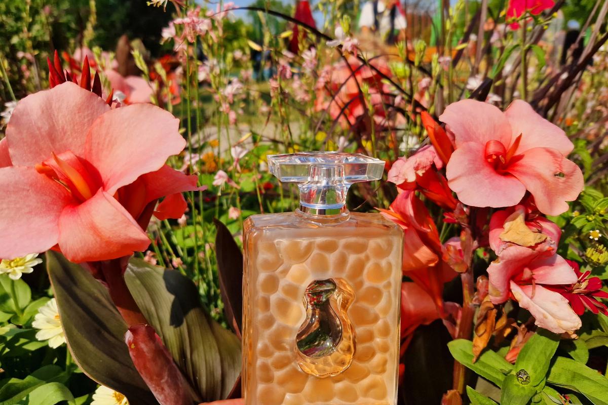 عطر ادکلن دالیا مور سالوادور دالی - DaliA More Salvador Dali - بررسی، قیمت و خرید