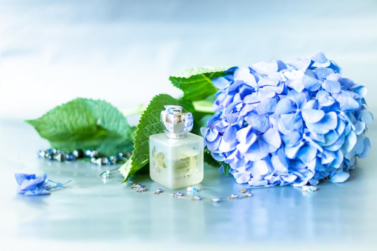 عطر ادکلن چاتویانت روج بانی روج - Chatoyant Rouge Bunny Rouge - بررسی، قیمت و خرید
