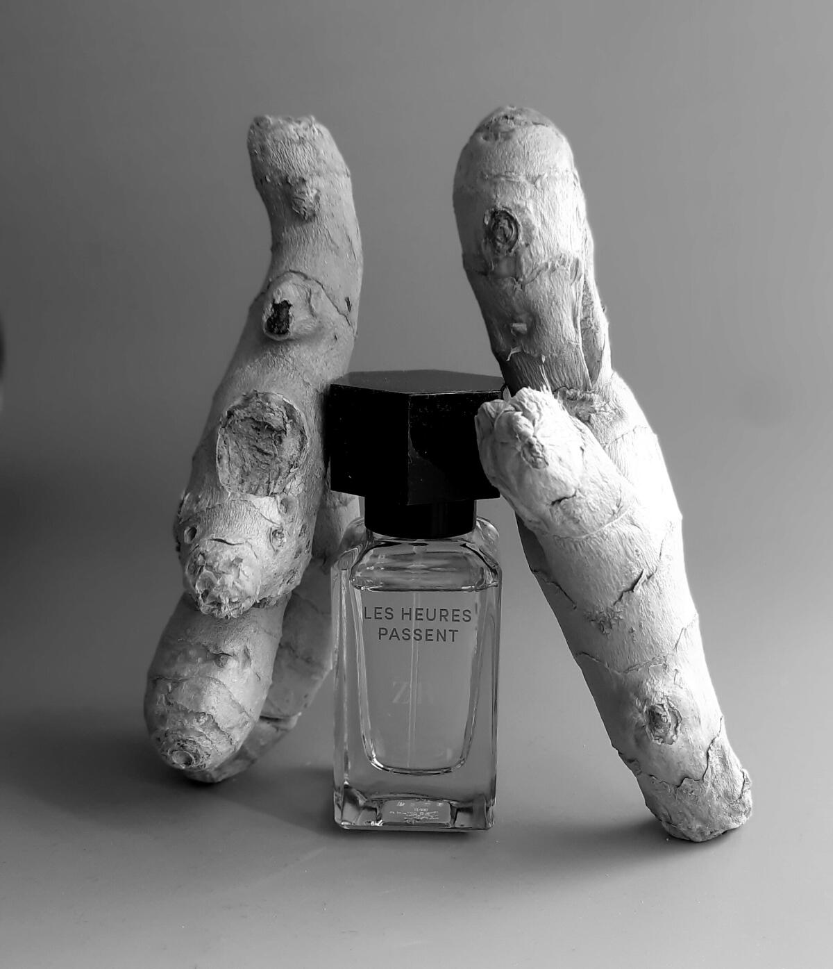 عطر ادکلن له اُغ پَسَنت زارا - Les Heures Passent (Into The Joyful) Zara - بررسی، قیمت و خرید