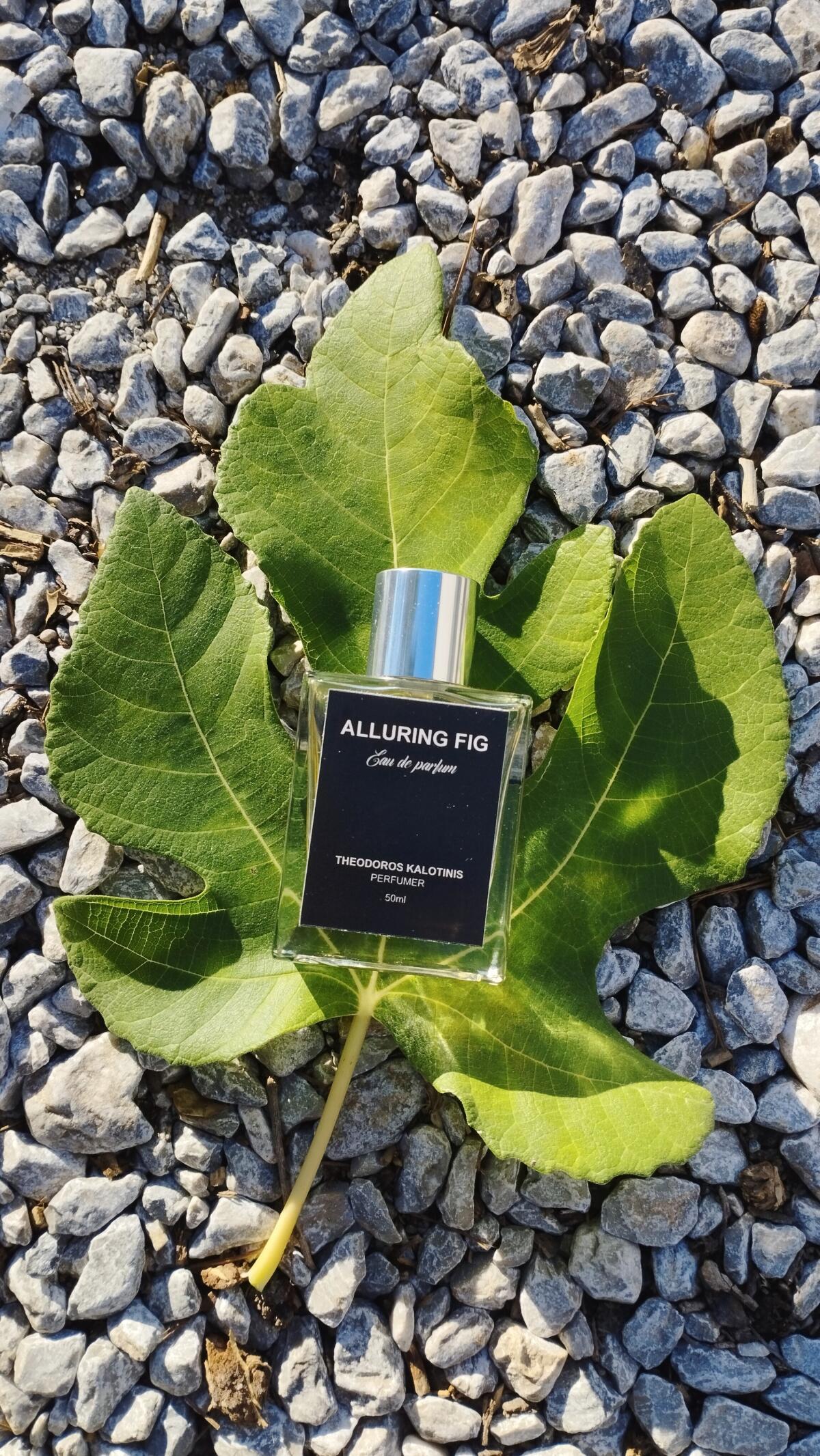 عطر ادکلن آلورینگ فیک تئودوروس کالوتینیس - Alluring Fig Theodoros Kalotinis - بررسی، قیمت و خرید