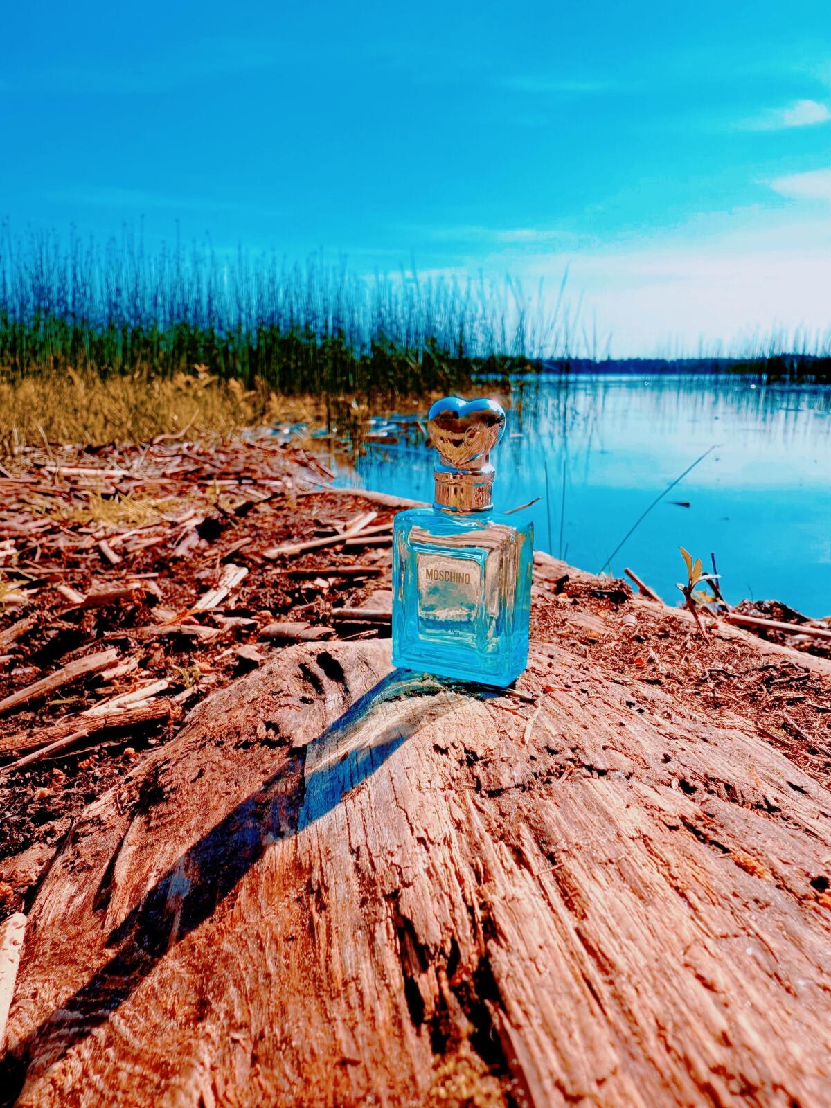 عطر ادکلن ماسکینو فانی! ماسکینو - Moschino Funny! Moschino - بررسی، قیمت و خرید