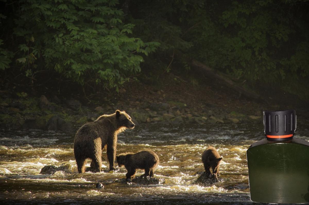 عطر ادکلن پولو اکسپلورر رالف لورن - Polo Explorer Ralph Lauren - بررسی، قیمت و خرید