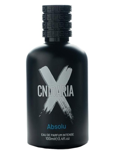 عطر ادکلن کنیریا اکس ابسولو سامام - Cnidaria X Absolu Samam - بررسی، قیمت و خرید