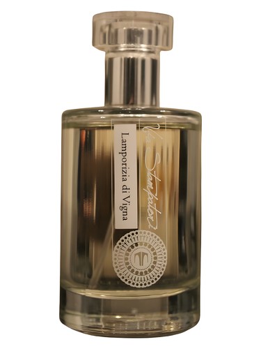 عطر ادکلن لامپوریزیا دی وینیا ویا استامپاتوری - Lamporizia di Vigna Via Stampatori - بررسی، قیمت و خرید