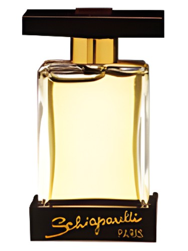 عطر ادکلن شاکینگ یو سکیپارلی - Shocking You Schiaparelli - بررسی، قیمت و خرید