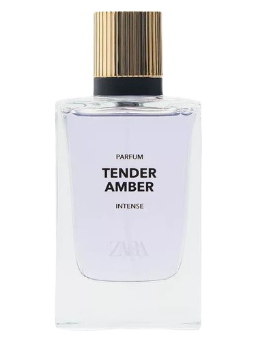 عطر ادکلن تندر امبر اینتنس زارا - Tender Amber Intense Zara - بررسی، قیمت و خرید