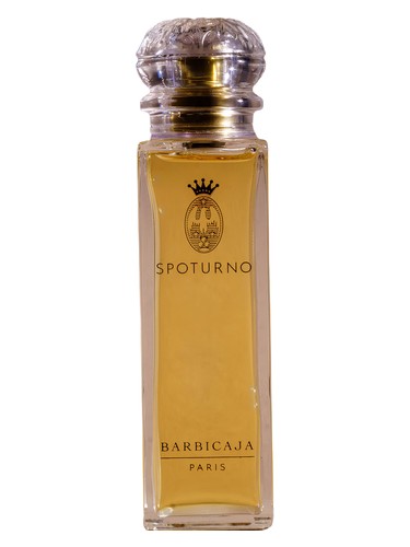عطر ادکلن باربیکاجا اسپوتورنو - Barbicaja Spoturno - بررسی، قیمت و خرید