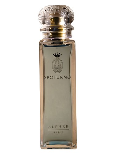 عطر ادکلن آلفه اسپوتورنو - Alphée Spoturno - بررسی، قیمت و خرید