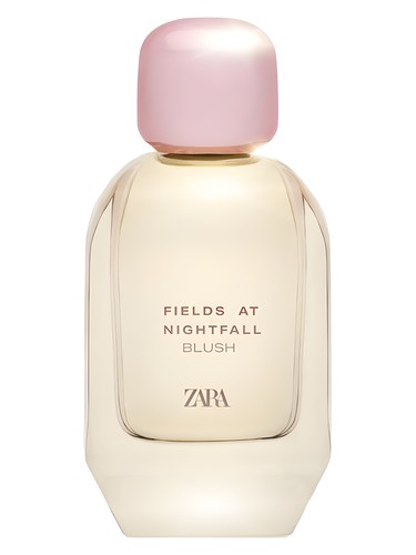 عطر ادکلن فیلدز ات نایتفال بلَش زارا - Fields at Nightfall Blush Zara - بررسی، قیمت و خرید