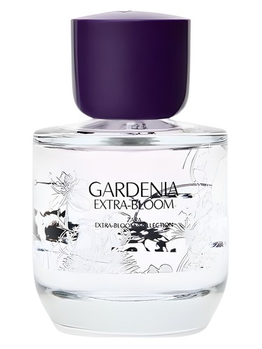 عطر ادکلن گاردنیا اکسترا بلوم زارا - Gardenia Extra-Bloom Zara - بررسی، قیمت و خرید
