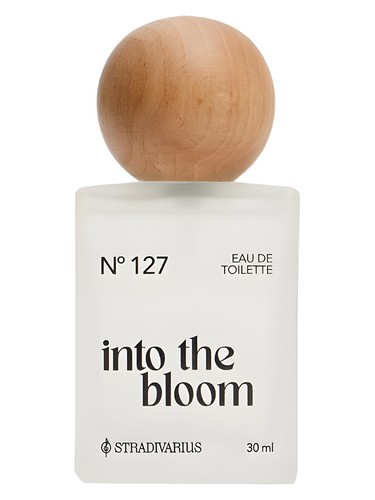 عطر ادکلن این تو د بلوم استرادیواریوس - Nᵒ127 Into the Bloom Stradivarius - بررسی، قیمت و خرید