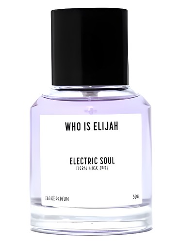 عطر ادکلن الکتریک سول هو ایز الیجا - Electric Soul Who is Elijah - بررسی، قیمت و خرید
