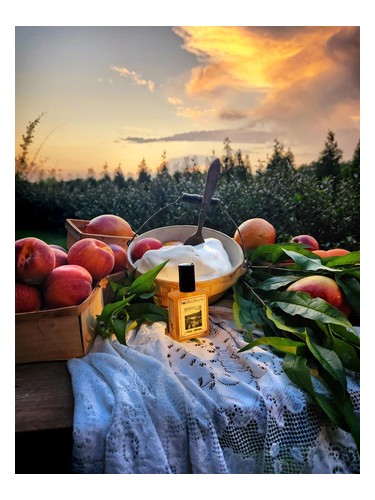 عطر ادکلن آیسد نکتر سولستیس سنتس - Iced Nectar Solstice Scents - بررسی، قیمت و خرید