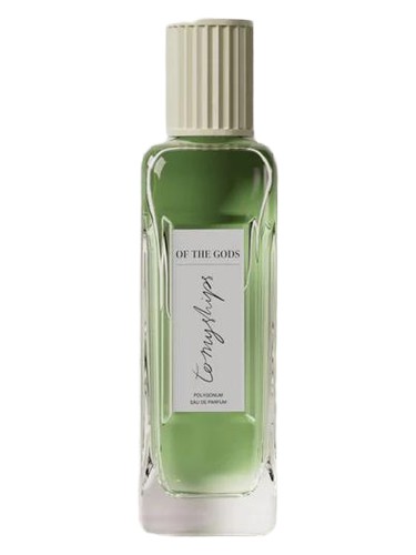 عطر ادکلن آفتگادز تو مای شیپس - Of The Gods To My Ships - بررسی، قیمت و خرید