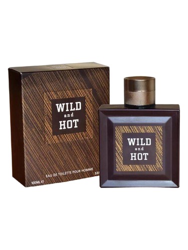 عطر ادکلن وایلد اند هات وینچی - Wild and Hot Vinci - بررسی، قیمت و خرید