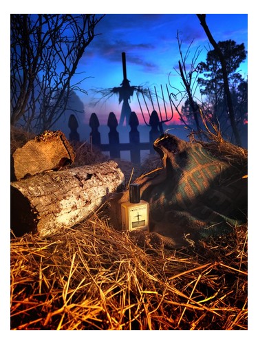 عطر ادکلن پچز سولستیس سنتس - Patches Solstice Scents - بررسی، قیمت و خرید