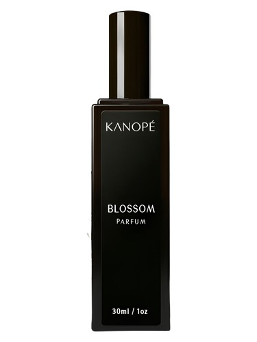 عطر ادکلن بلاسم - اسپرینگ آوِیکنینگ کنوپه مونترال - Blossom - Spring Awakening Kanopé Montréal - بررسی، قیمت و خرید