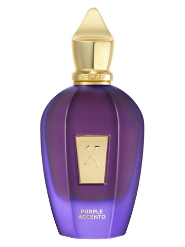 عطر ادکلن پرپل اسنتو ادو پرفیوم زرجوف - Purple Accento Eau de Parfum Xerjoff - بررسی، قیمت و خرید