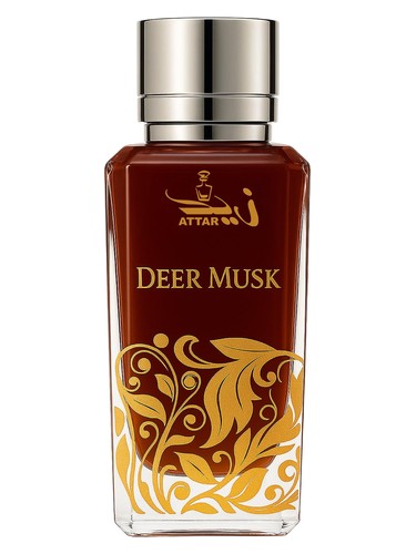 عطر ادکلن دیر ماسک زید عطار واله - Deer Musk Zaid Attar Wale - بررسی، قیمت و خرید