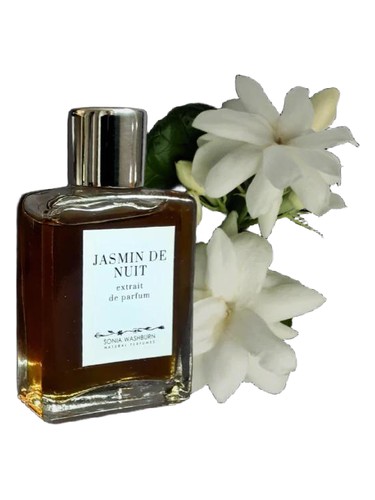 عطر ادکلن ژاسمین د نویی سونیا واشبرن - Jasmin De Nuit Sonia Washburn - بررسی، قیمت و خرید