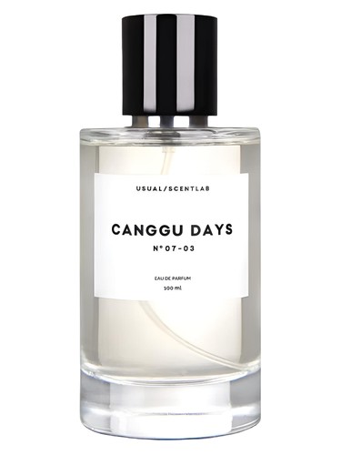 عطر ادکلن چانگو دیز نامبر زیرو هفت-زیرو تری یوجوال پرفیومز - Canggu Days № 07-03 Usual Parfums - بررسی، قیمت و خرید