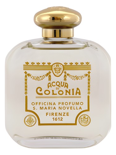 عطر ادکلن جینسترا سانتا ماریا نوولا - Ginestra (Broom) Santa Maria Novella - بررسی، قیمت و خرید