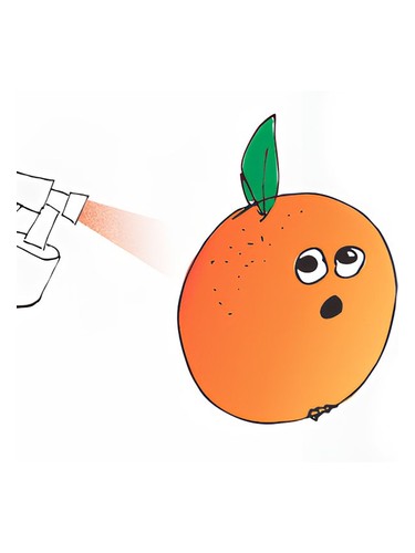 عطر ادکلن د اسپری تن اینسیدنت اسمل بنت - The Spray Tan Incident Smell Bent - بررسی، قیمت و خرید