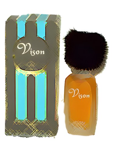 عطر ادکلن ویژن ادوتویلت رابرت بولیو - Vison EDT Robert Beaulieu - بررسی، قیمت و خرید