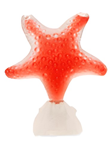 عطر ادکلن استار رد پشن سی‌جولز - Star Red Pasion Seajewels - بررسی، قیمت و خرید