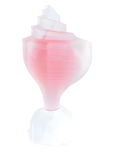 عطر ادکلن پینک کونچ سی‌جوئلز - Pink Conch Seajewels - بررسی، قیمت و خرید