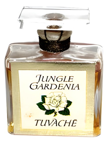 عطر ادکلن جانگل گاردنیا توواشه - Jungle Gardenia Tuvaché - بررسی، قیمت و خرید