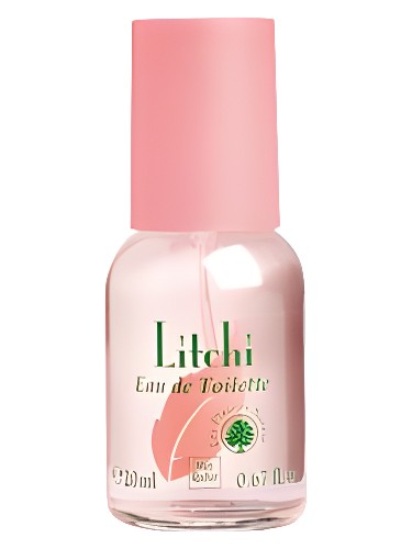 عطر ادکلن لیچی ایو روشه - Litchi Yves Rocher - بررسی، قیمت و خرید