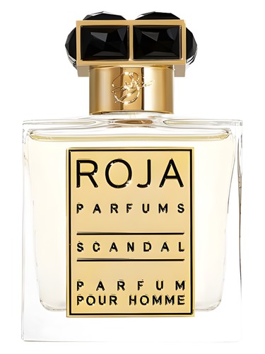 عطر ادکلن اسکندل پور هوم روجا داو - Scandal Pour Homme Roja Dove - بررسی، قیمت و خرید