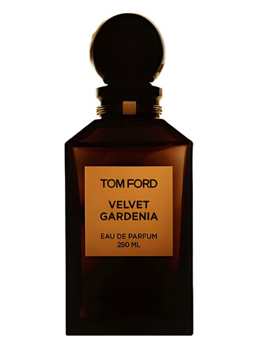 عطر ادکلن ولوت گاردنیا تام فورد - Velvet Gardenia Tom Ford - بررسی، قیمت و خرید