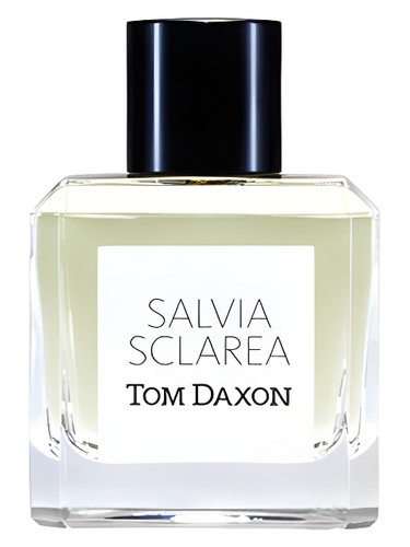 عطر ادکلن سالویا اسکالاریا تنداکسون - Salvia Sclarea Tom Daxon - بررسی، قیمت و خرید